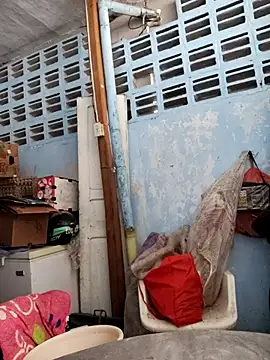 brigitht online show from November 2025 05:02:02 PM