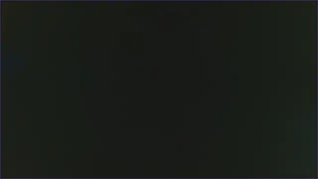 Geisha Seniers online show from February 2025 03:03:01 PM