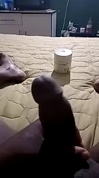 Snapshot of netswera147 chatting on March 2026 11:14:01 AM netswera147 online show from March 2026 11:14:01 AM