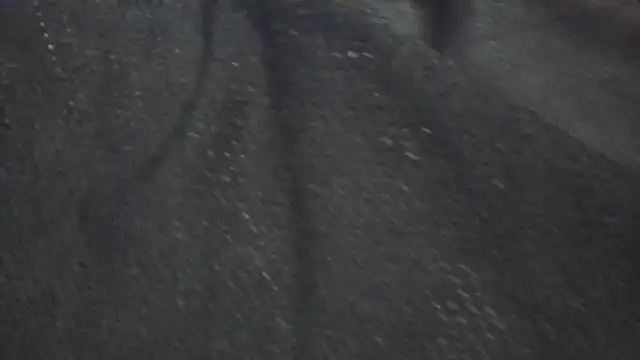 Leonul online show from March 2026 05:40:01 PM