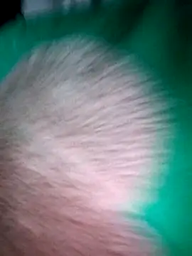 Snapshot of Haralushiaaa chatting on December 2025 11:57:02 PM Haralushiaaa online show from December 2025 11:57:02 PM