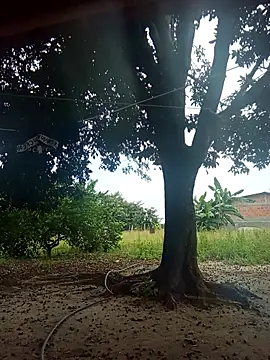 natally ross21 online show from February 2026 01:26:02 PM