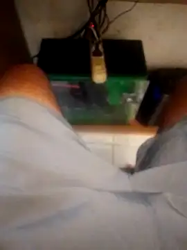 Snapshot of betinhodelas chatting on October 2025 05:14:01 PM betinhodelas online show from October 2025 05:14:01 PM