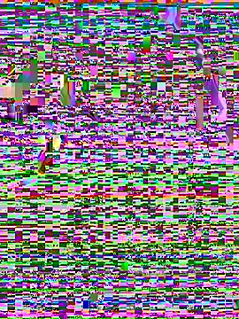 beauty alina online show from March 2026 09:19:02 PM