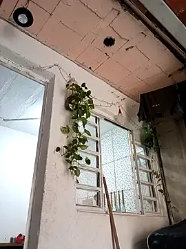 Snapshot of Brasilsexxx chatting on December 2025 02:45:02 PM Brasilsexxx online show from December 2025 02:45:02 PM