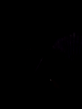 StaciGoodman online show from February 2025 01:44:02 AM