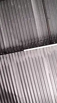 Snapshot of mendelicius chatting on February 2026 01:27:02 PM mendelicius online show from February 2026 01:27:02 PM