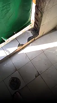 Snapshot of mendelicius chatting on February 2026 02:25:01 PM mendelicius online show from February 2026 02:25:01 PM