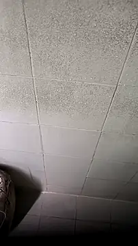 Snapshot of mendelicius chatting on February 2026 04:36:01 PM mendelicius online show from February 2026 04:36:01 PM