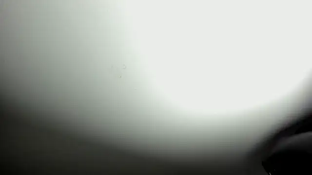 selene red  online show from October 2025 03:42:02 PM