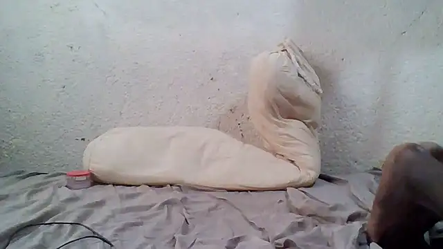 Snapshot of demo2004 chatting on October 2025 11:13:02 AM demo2004 online show from October 2025 11:13:02 AM