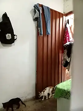 Snapshot of Andreita_95 chatting on November 2025 11:31:02 AM Andreita 95 online show from November 2025 11:31:02 AM