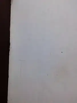 Snapshot of AmnionicDemeanor chatting on November 2025 11:56:01 AM AmnionicDemeanor online show from November 2025 11:56:01 AM