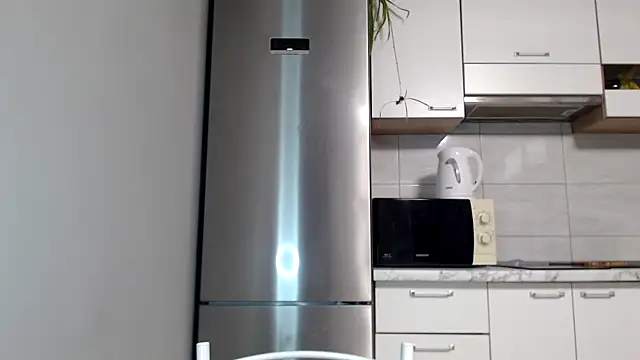 Snapshot of SierraSky_ chatting on April 2026 05:21:02 PM SierraSky online show from April 2026 05:21:02 PM