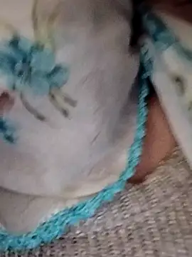  BaHaR  online show from September 2025 08:16:02 AM