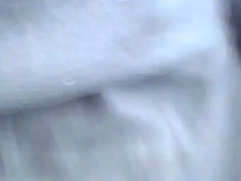 Snapshot of Bootiq chatting on October 2025 09:53:02 AM Bootiq online show from October 2025 09:53:02 AM