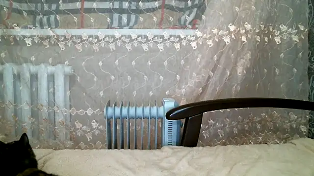 DennisXCaroll online show from February 2025 06:32:02 PM