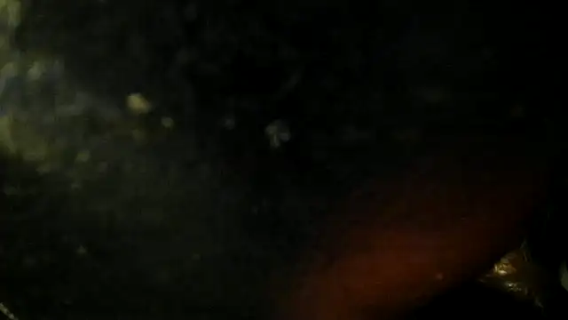 Snapshot of leatherz69 chatting on May 2026 02:40:02 AM leatherz69 online show from May 2026 02:40:02 AM
