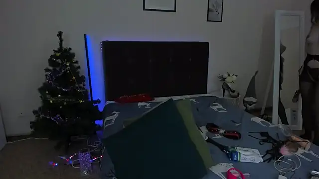 Snapshot of CassieEvans chatting on December 2024 06:56:01 AM CassieEvans online show from December 2024 06:56:01 AM