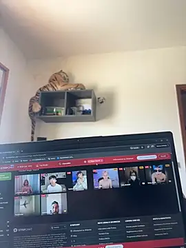 Lilyassjdhz online show from April 2026 12:21:02 PM