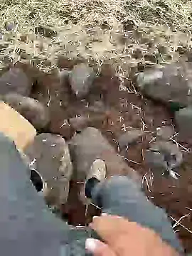 Snapshot of murokkk31 chatting on December 2024 12:23:01 PM murokkk31 online show from December 2024 12:23:01 PM