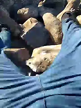 Snapshot of murokkk31 chatting on January 2025 07:35:02 AM murokkk31 online show from January 2025 07:35:02 AM