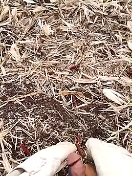 Snapshot of murokkk31 chatting on September 2025 02:55:02 AM murokkk31 online show from September 2025 02:55:02 AM