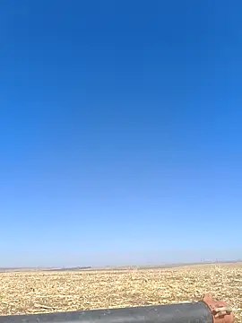 Snapshot of murokkk31 chatting on October 2025 08:15:02 AM murokkk31 online show from October 2025 08:15:02 AM