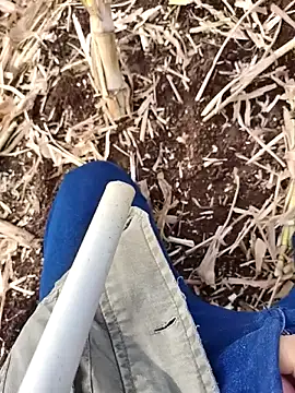 Snapshot of murokkk31 chatting on November 2025 07:41:02 AM murokkk31 online show from November 2025 07:41:02 AM