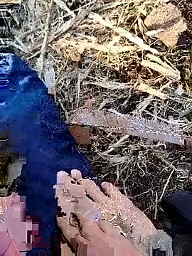 Snapshot of murokkk31 chatting on November 2025 06:06:02 AM murokkk31 online show from November 2025 06:06:02 AM