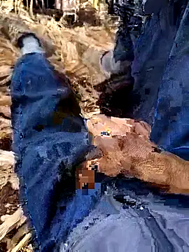 Snapshot of murokkk31 chatting on December 2025 08:34:01 AM murokkk31 online show from December 2025 08:34:01 AM