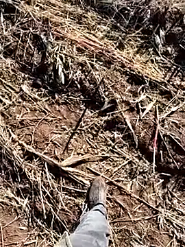 Snapshot of murokkk31 chatting on December 2025 08:41:02 AM murokkk31 online show from December 2025 08:41:02 AM