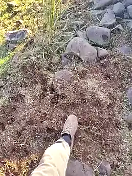 Snapshot of murokkk31 chatting on December 2025 12:21:02 PM murokkk31 online show from December 2025 12:21:02 PM