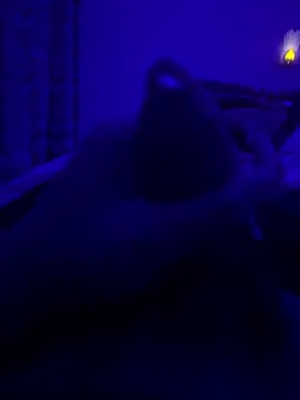 Snapshot of thecockybouy chatting on March 2025 01:36:02 AM thecockybouy online show from March 2025 01:36:02 AM