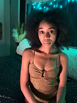 Snapshot of Dime-__ chatting on November 2025 10:23:01 PM Dime- online show from November 2025 10:23:01 PM