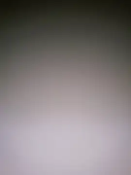 Snapshot of Dorset8360 chatting on January 2025 05:02:01 PM Dorset8360 online show from January 2025 05:02:01 PM