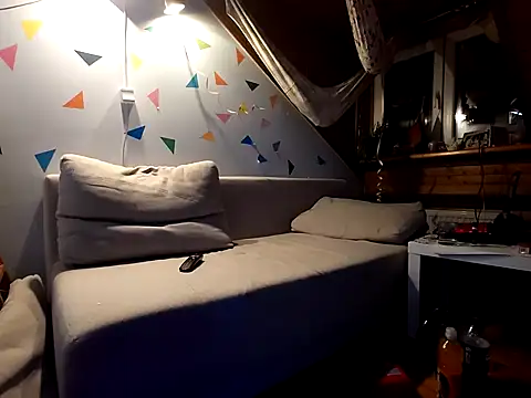 Snapshot of BSDG_POL chatting on January 2025 01:21:02 AM BSDG POL online show from January 2025 01:21:02 AM