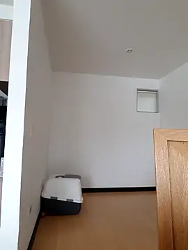  monicab online show from March 2025 03:58:02 PM