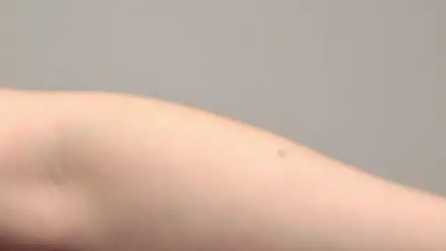 AliceMunro online show from January 2025 01:32:02 AM