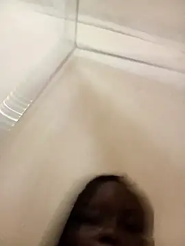 cindysasha11 online show from November 2025 05:45:01 PM