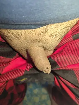 Snapshot of publicsir chatting on April 2026 06:22:01 PM publicsir online show from April 2026 06:22:01 PM