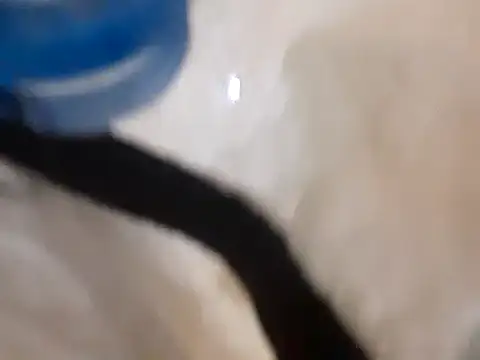 pedrodavid  online show from March 2025 12:10:01 AM