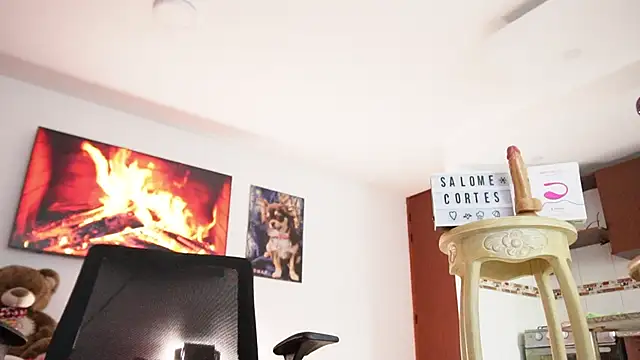 Snapshot of salome_cortes26 chatting on March 2025 05:02:01 PM salome cortes26 online show from March 2025 05:02:01 PM