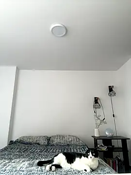 SofiaG  online show from October 2025 07:01:02 PM