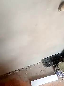 taradobbsafadok online show from December 2024 04:55:02 PM