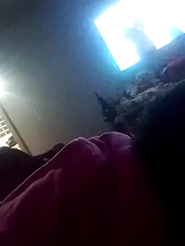 taradobbsafadok online show from December 2024 04:22:01 AM