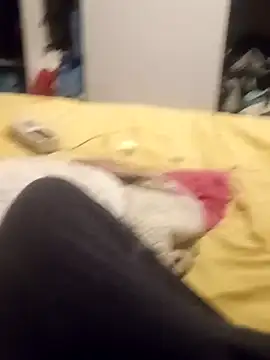 taradobbsafadok online show from October 2025 11:32:02 PM