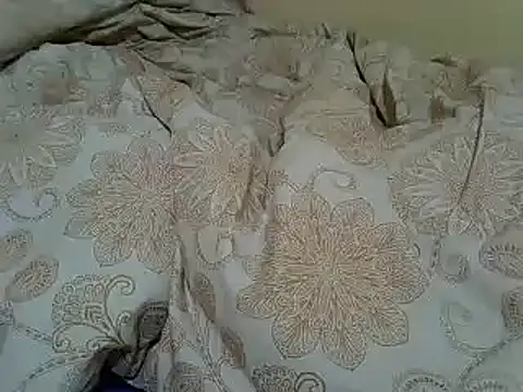 Snapshot of Just_Karu chatting on March 2025 06:54:01 AM Just Karu online show from March 2025 06:54:01 AM