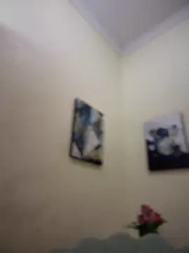 Snapshot of MaverickGray chatting on January 2025 04:41:01 PM MaverickGray online show from January 2025 04:41:01 PM