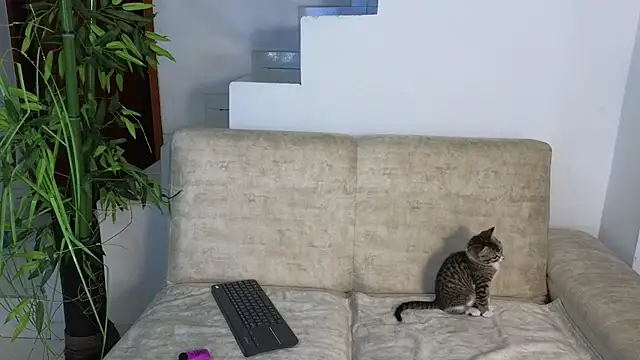 Lorenne Miller online show from October 2025 03:29:02 AM